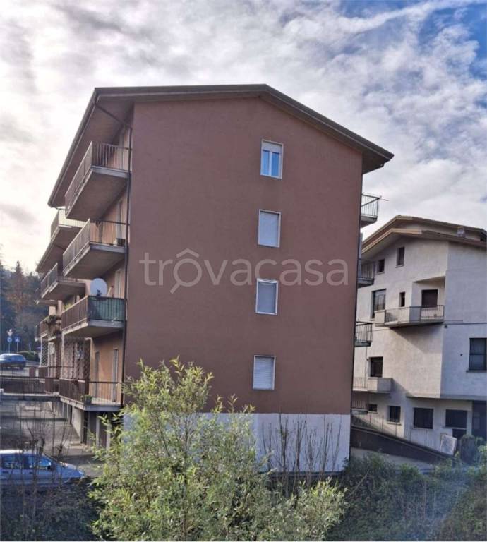 immagine annuncio 12 di 14