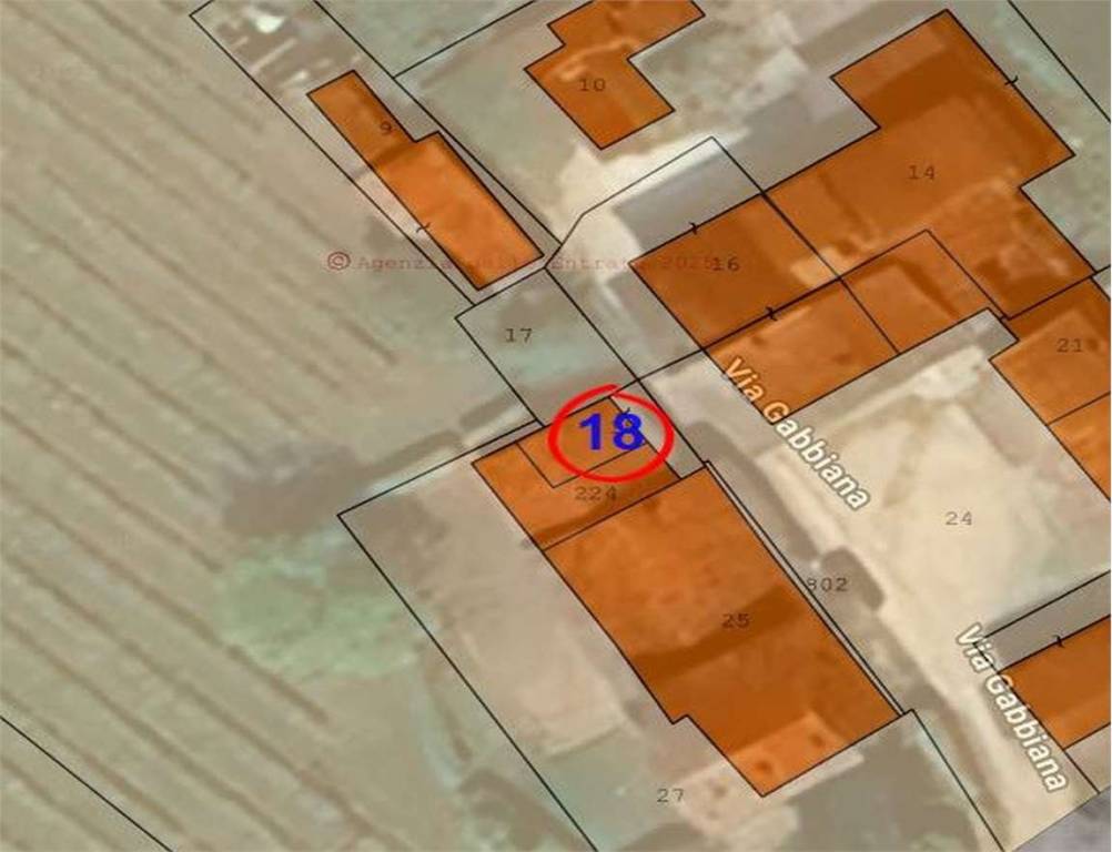 immagine annuncio 14 di 15