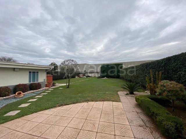 immagine annuncio 2 di 7