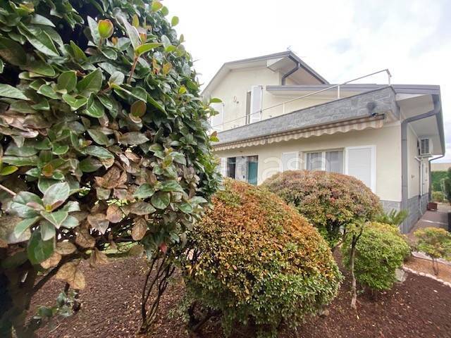 immagine annuncio 1 di 7