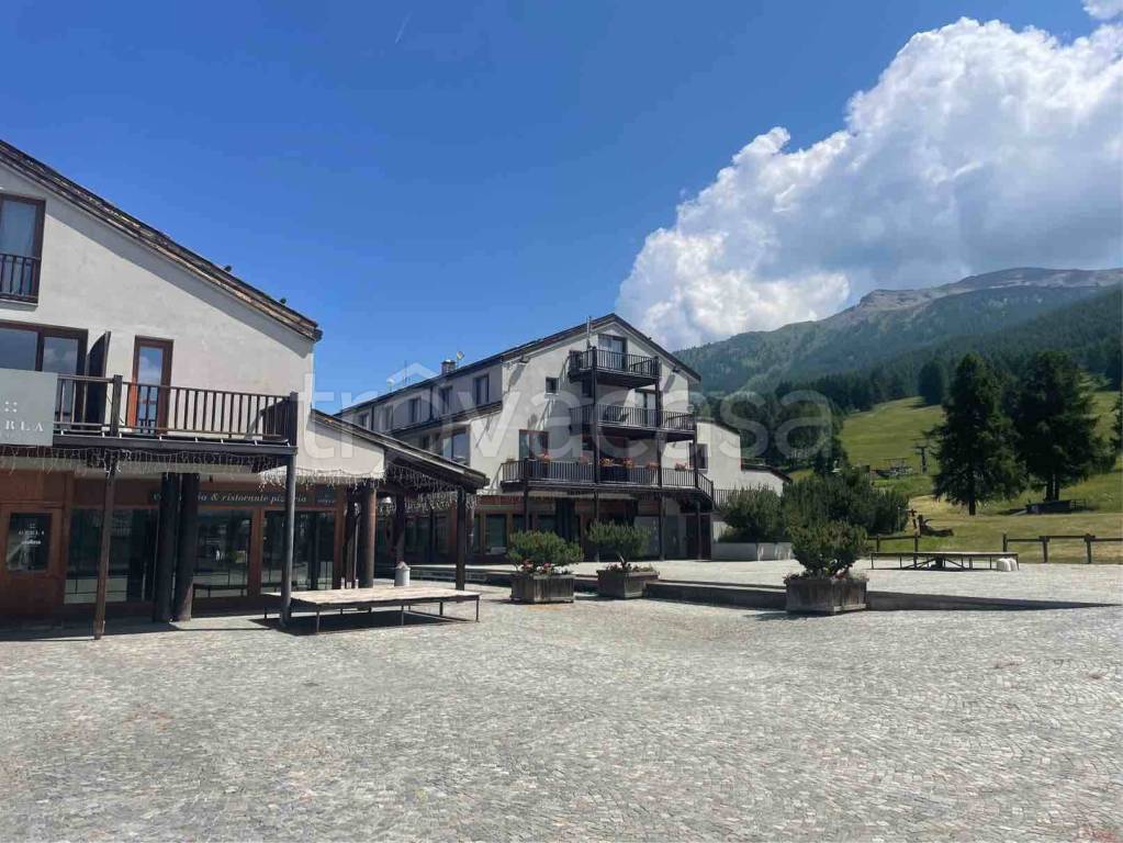 immagine annuncio 2 di 3