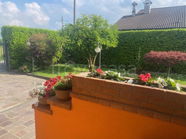 immagine annuncio 1 di 6