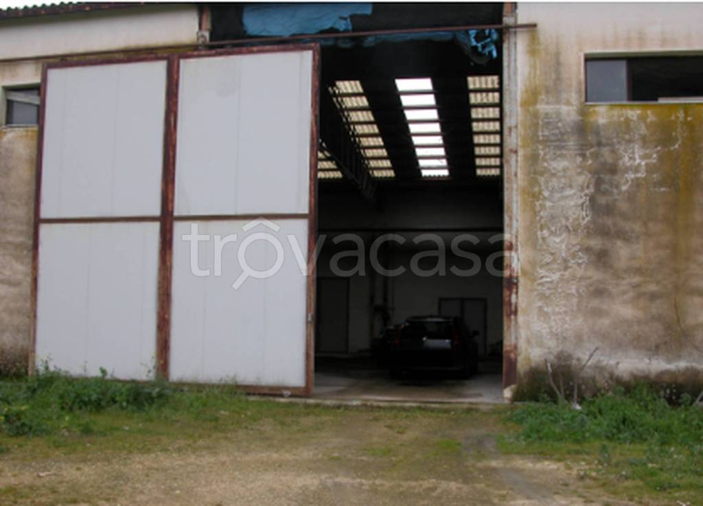 immagine annuncio 7 di 9