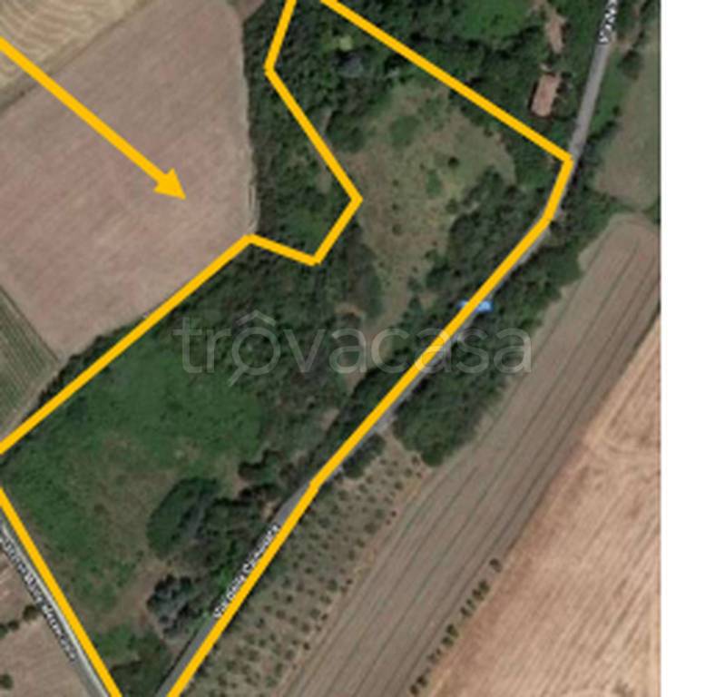 immagine annuncio 4 di 11