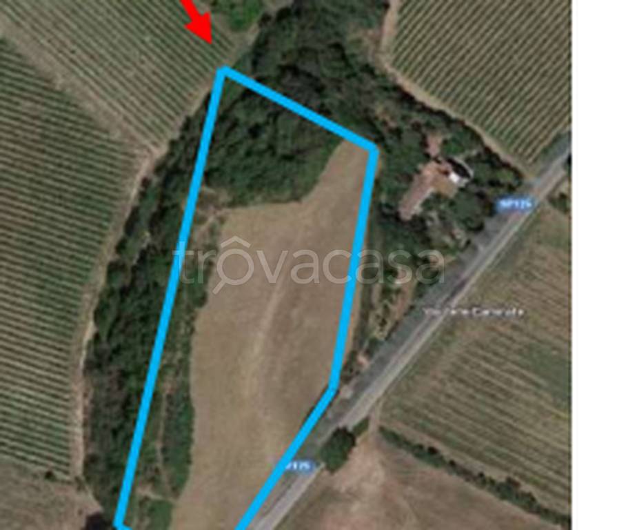 immagine annuncio 6 di 11