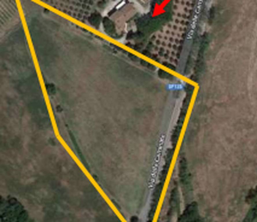 immagine annuncio 7 di 11