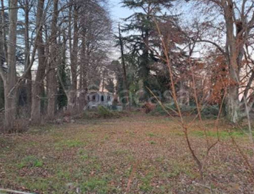 immagine annuncio 4 di 11