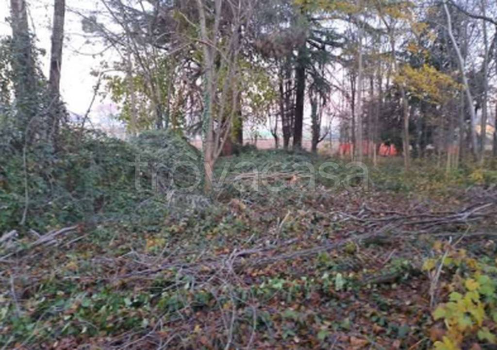 immagine annuncio 8 di 11