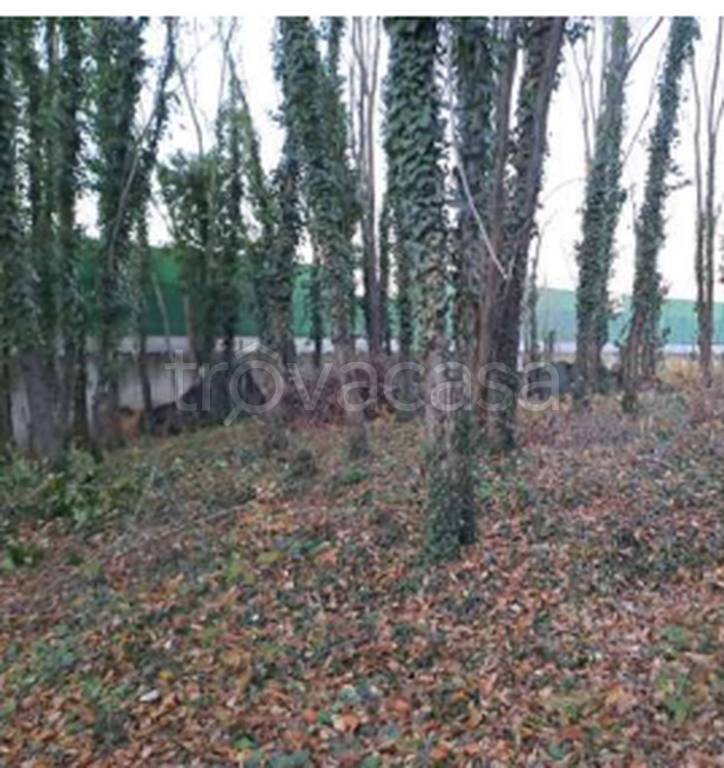 immagine annuncio 9 di 11