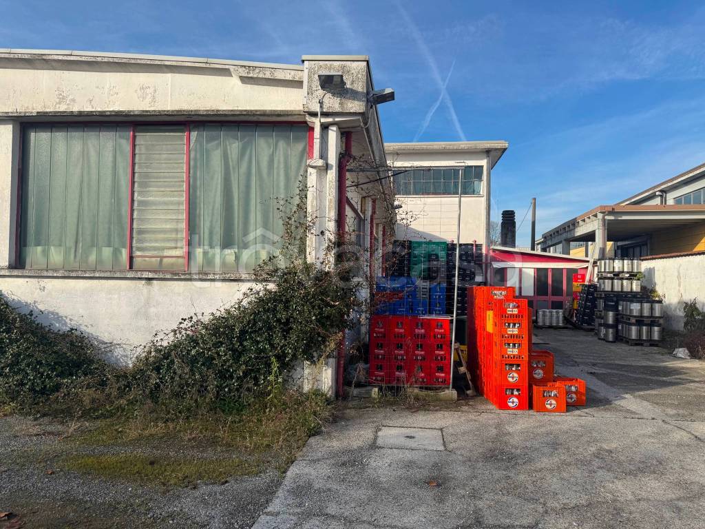 immagine annuncio 2 di 15