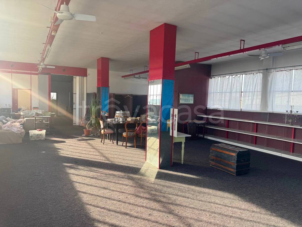 immagine annuncio 9 di 15