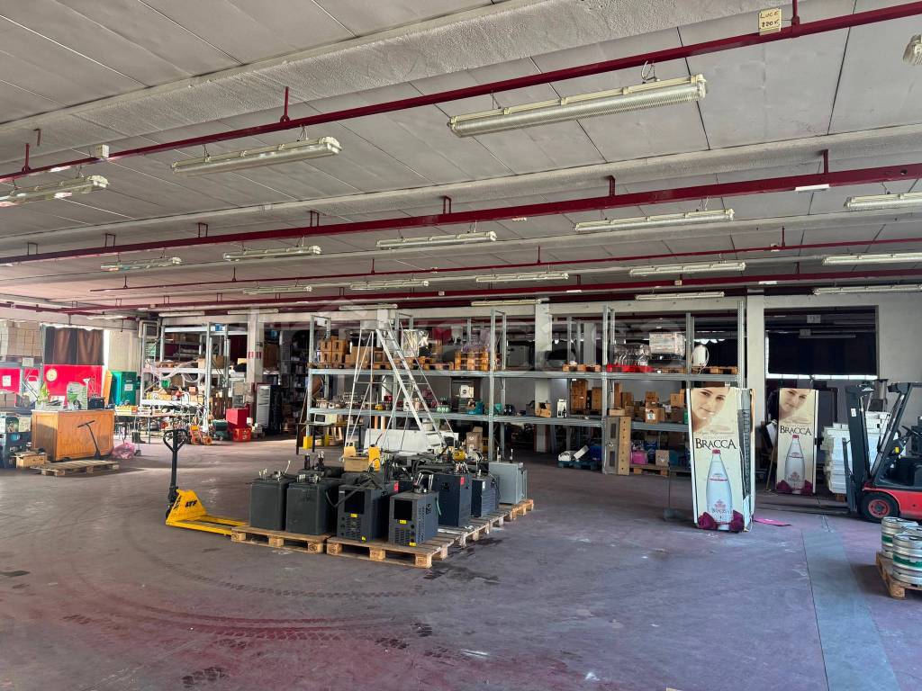 immagine annuncio 12 di 15