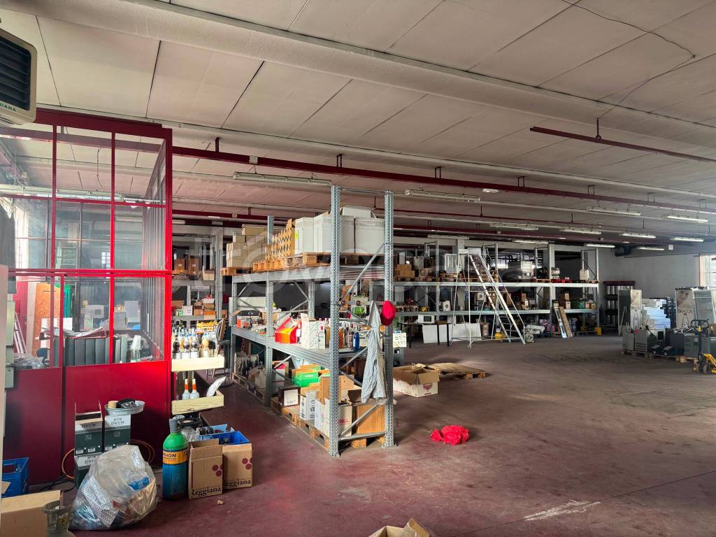 immagine annuncio 13 di 15