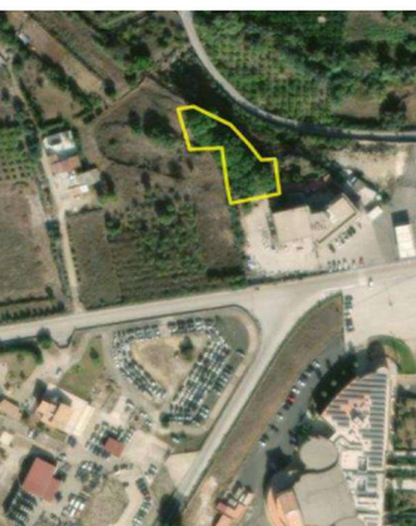 immagine annuncio 7 di 9