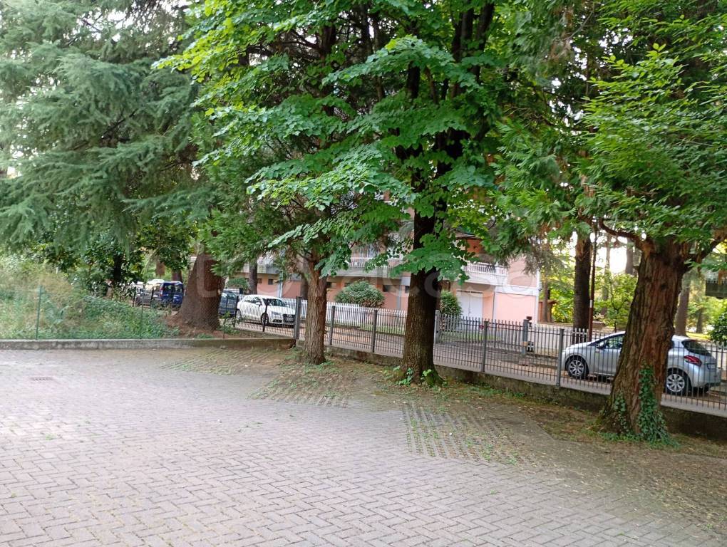 immagine annuncio 10 di 12