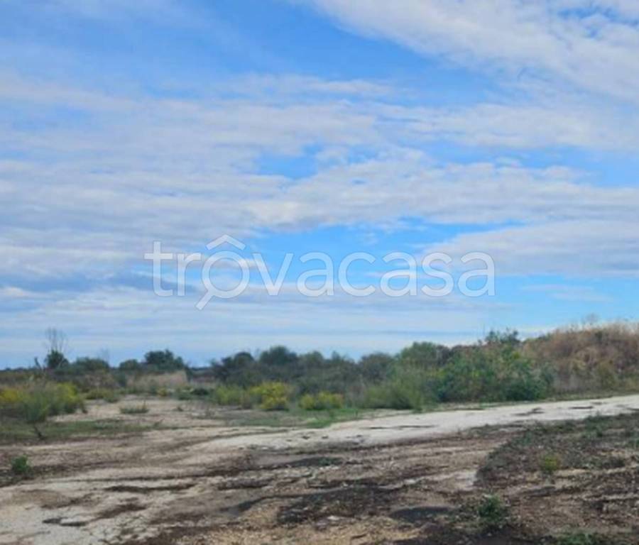 immagine annuncio 3 di 6