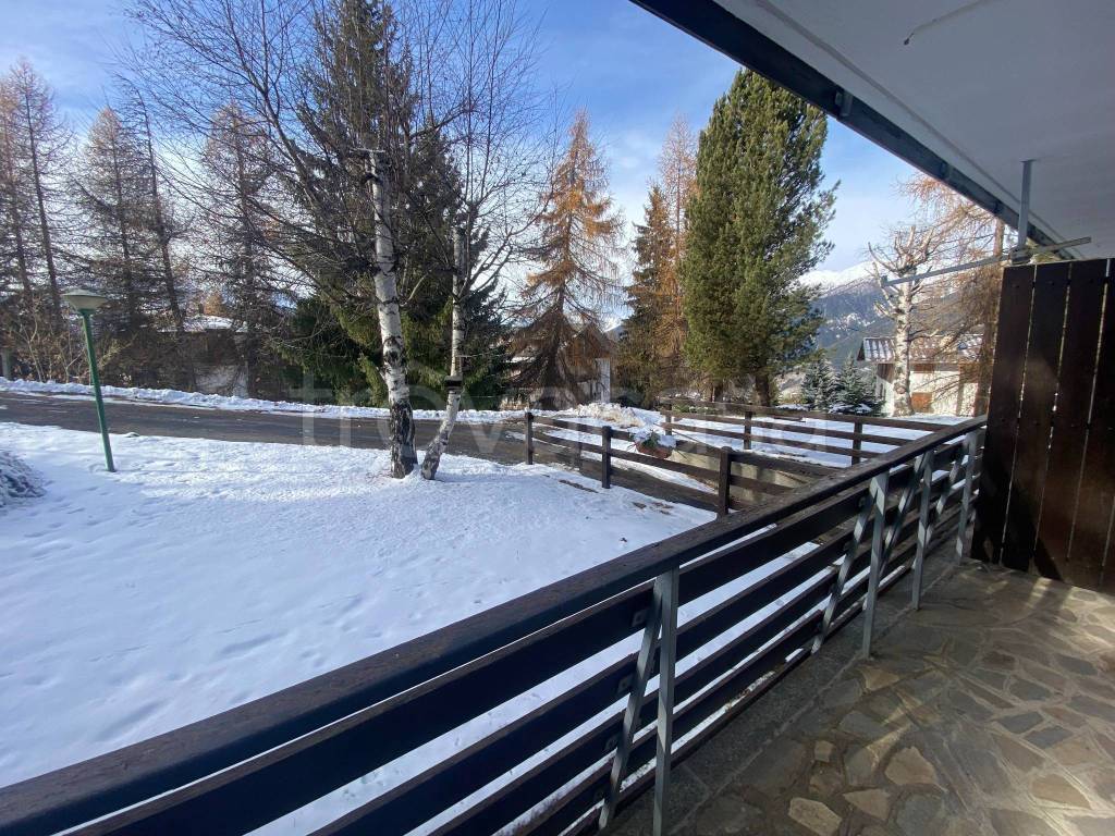 immagine annuncio 11 di 13