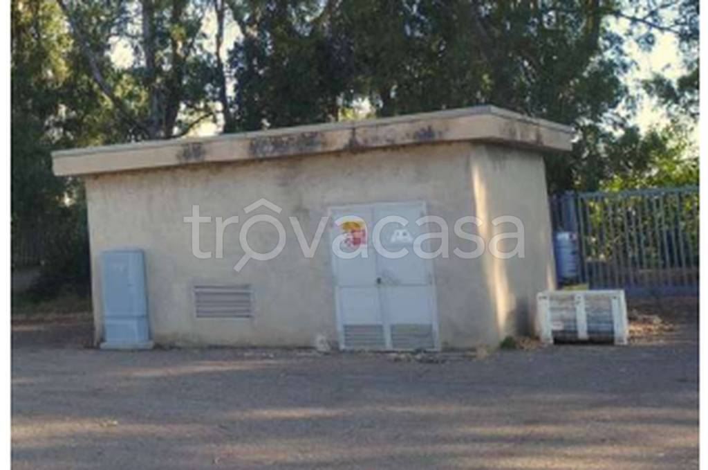 immagine annuncio 7 di 11