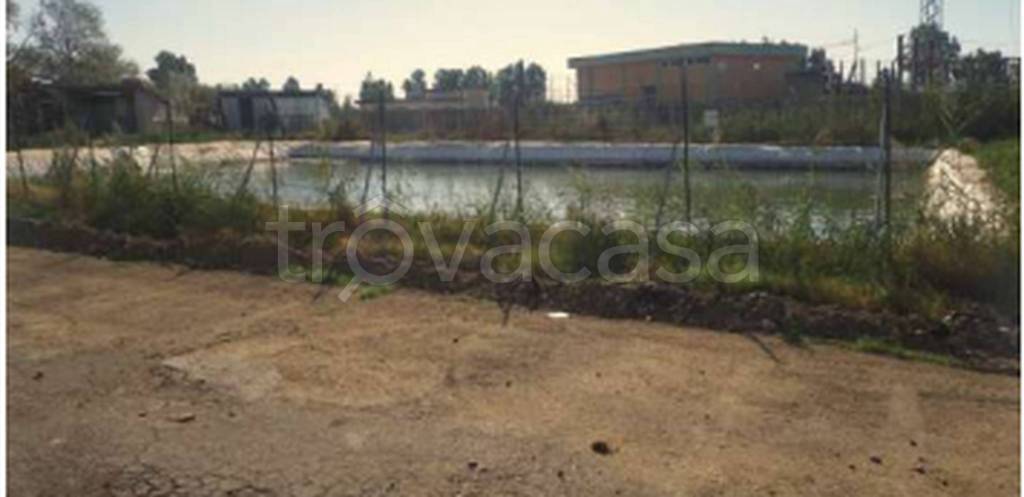 immagine annuncio 9 di 11