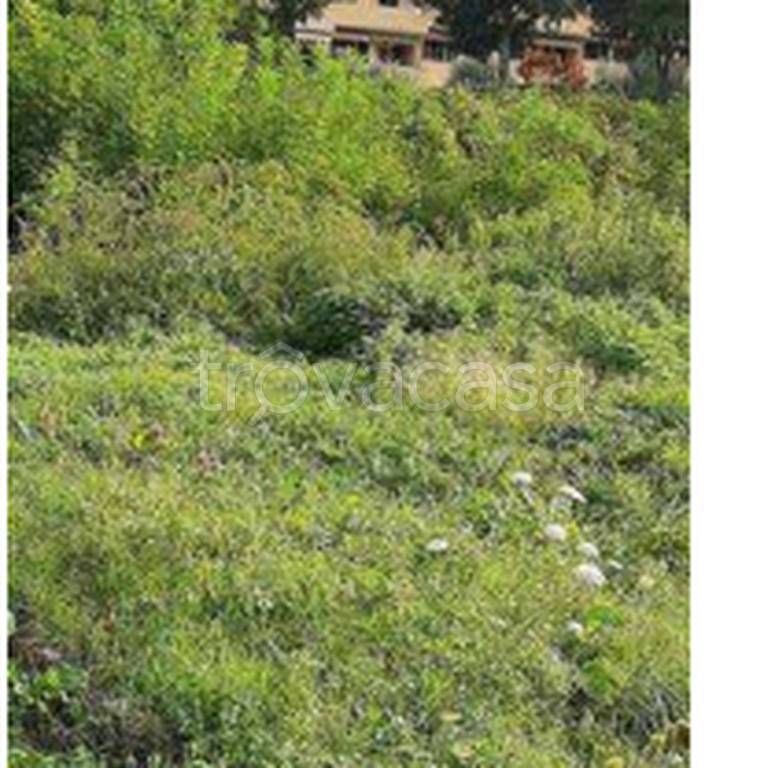 immagine annuncio 11 di 12