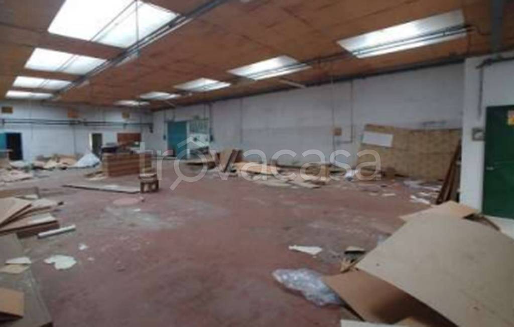 immagine annuncio 9 di 11