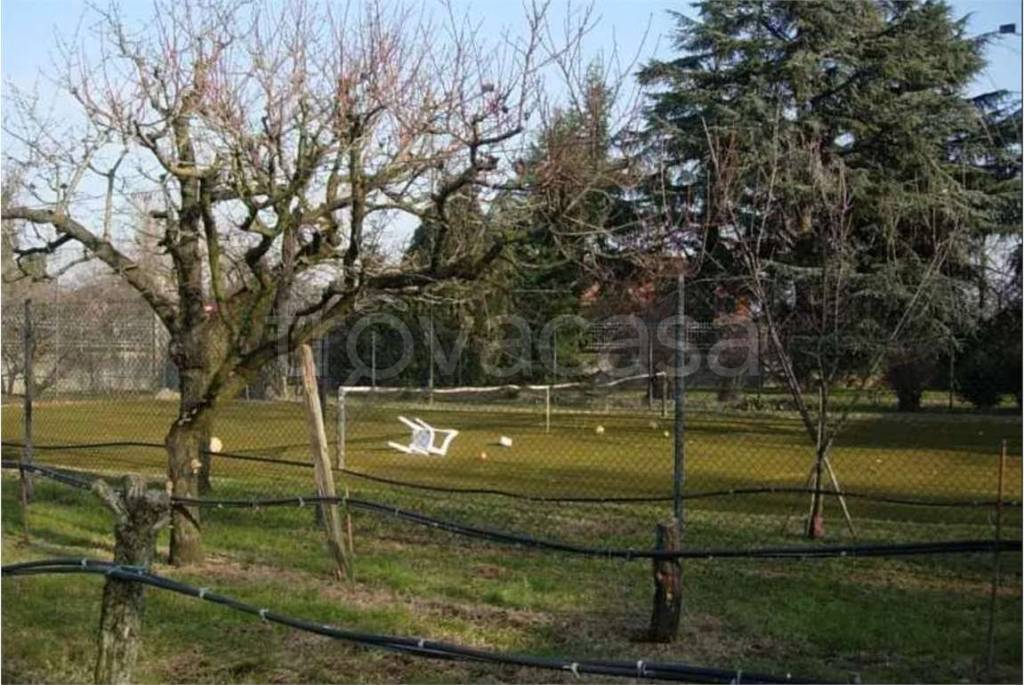 immagine annuncio 5 di 15