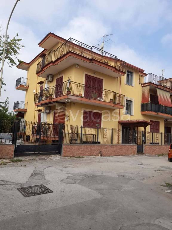 immagine annuncio 11 di 12