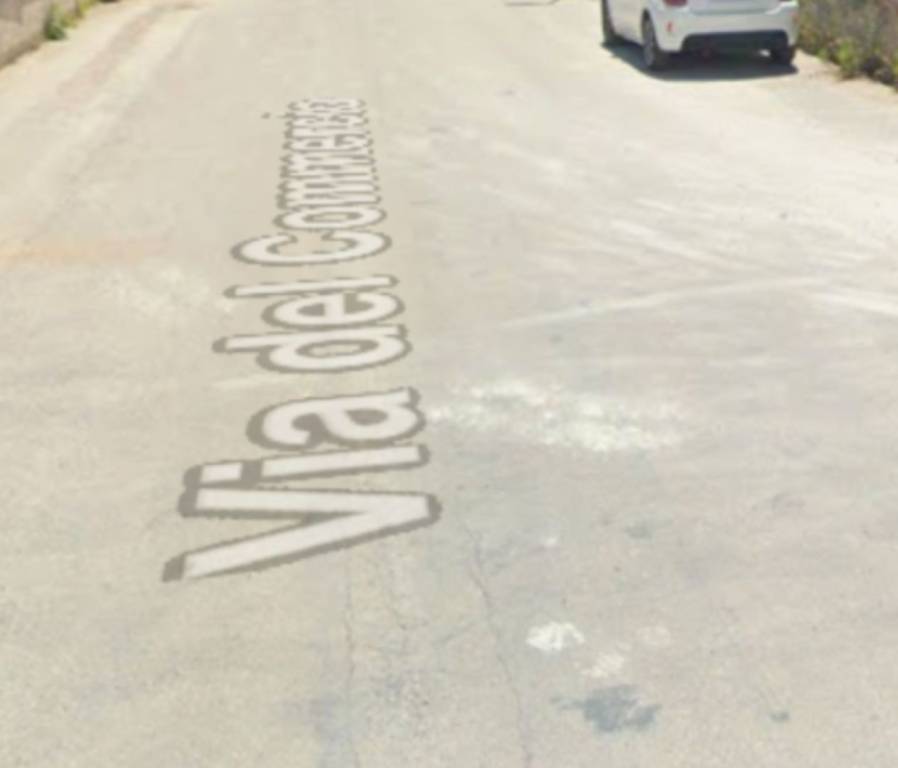 immagine annuncio 3 di 14