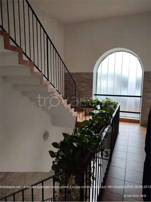 immagine annuncio 4 di 9