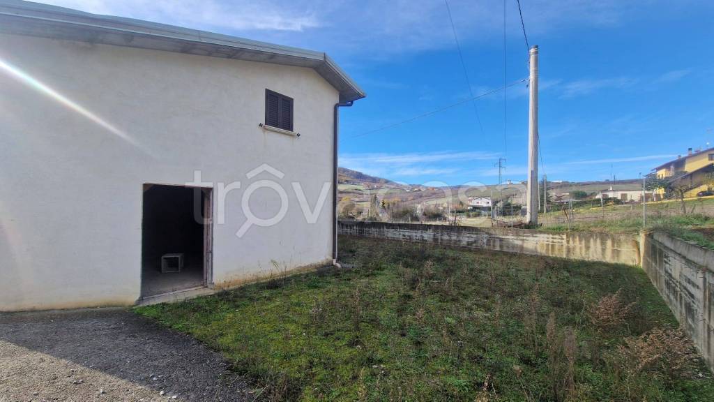 immagine annuncio 2 di 13