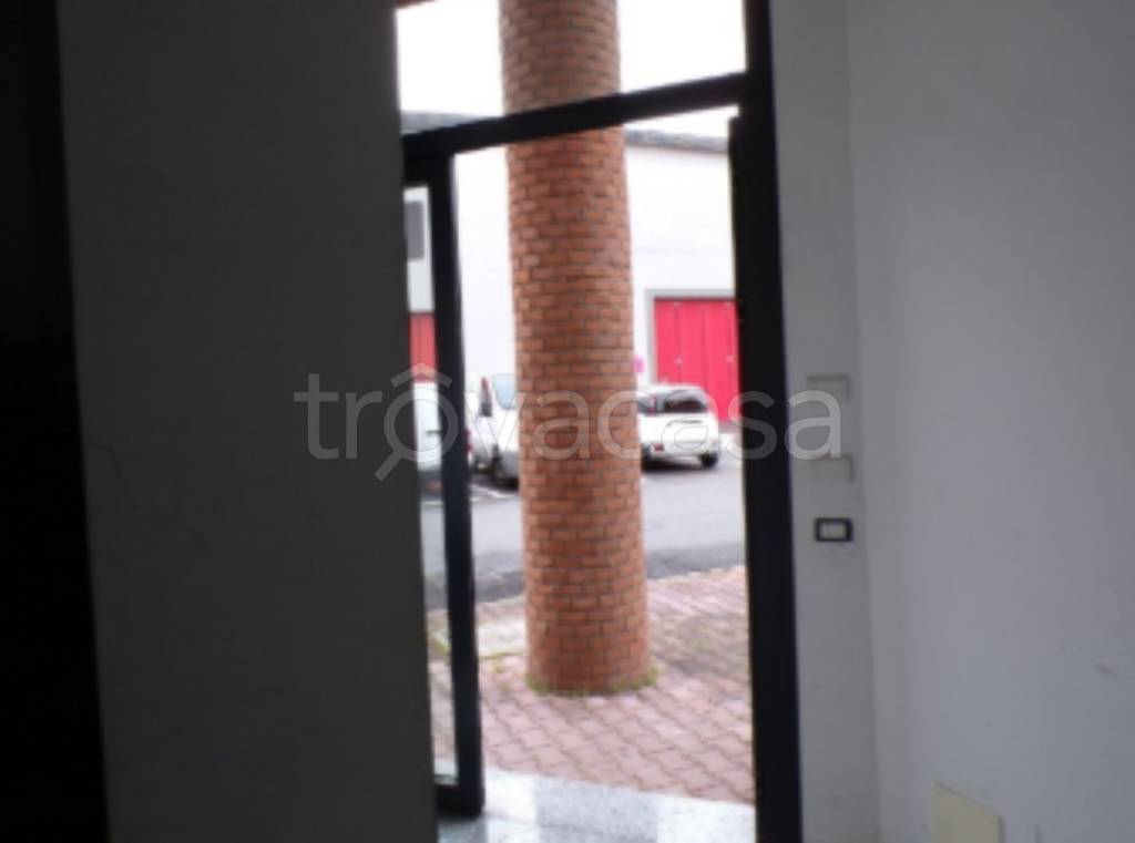 immagine annuncio 2 di 14