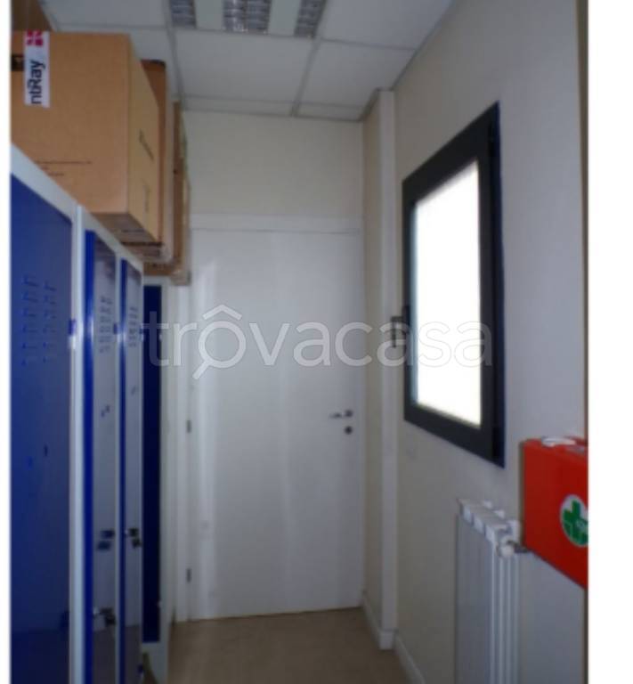 immagine annuncio 5 di 14