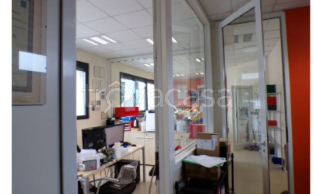 immagine annuncio 6 di 14