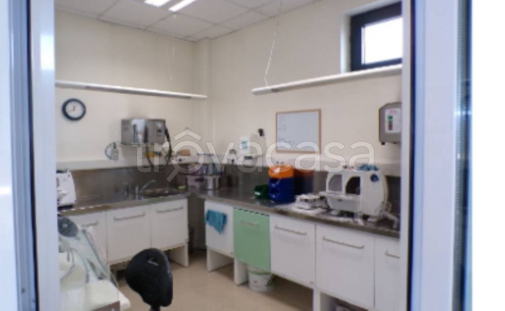 immagine annuncio 7 di 14