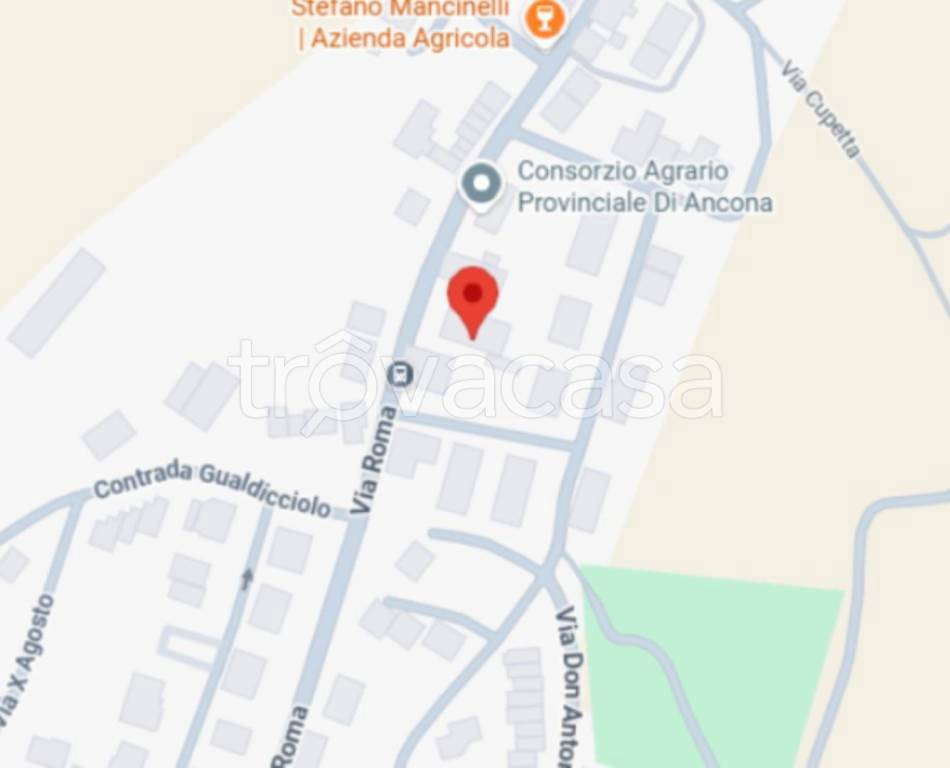 immagine annuncio 8 di 12