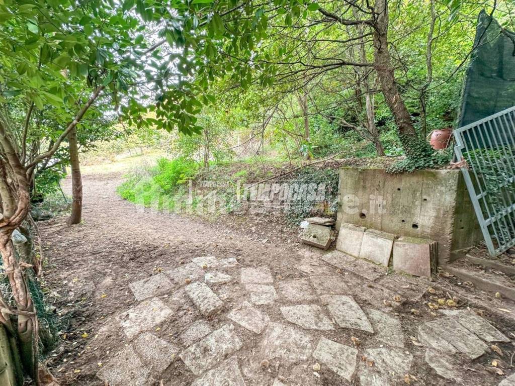 immagine annuncio 1 di 6