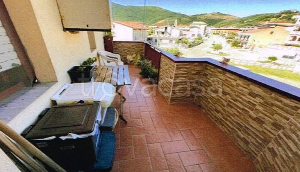 immagine annuncio 11 di 14