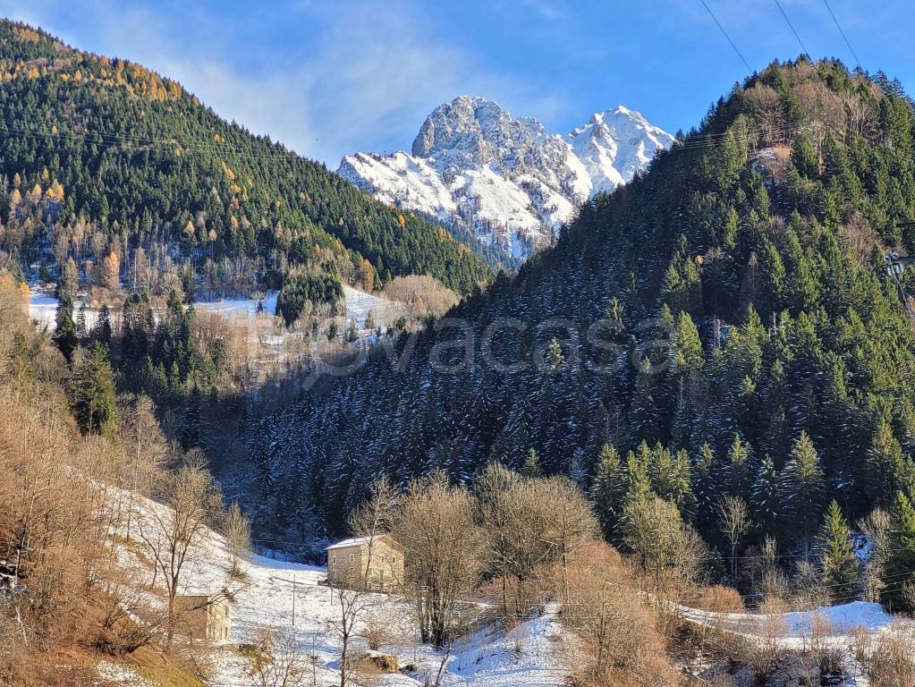 immagine annuncio 13 di 14