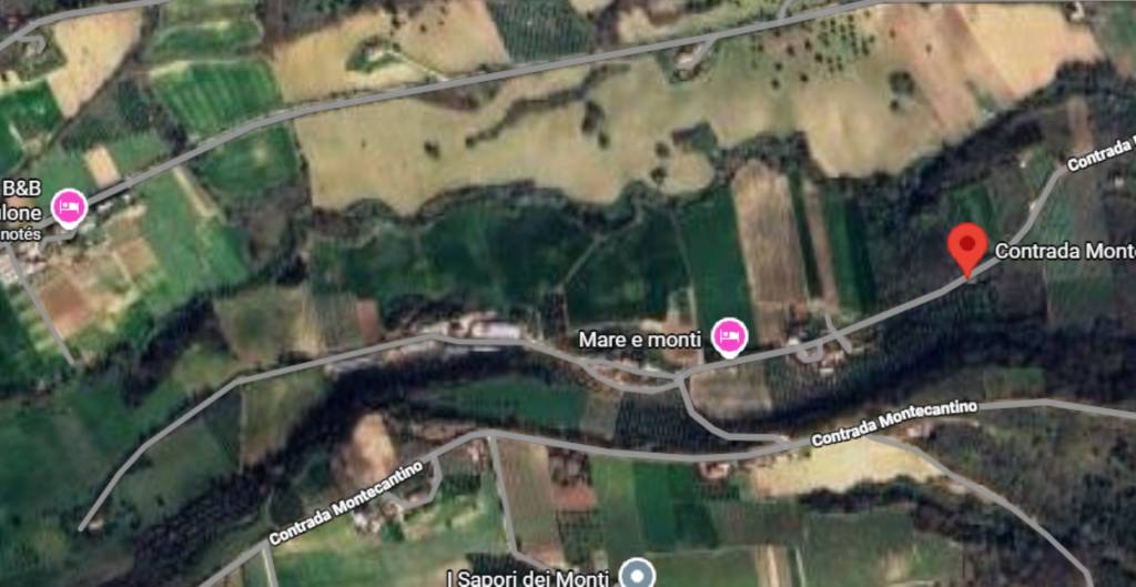 immagine annuncio 5 di 12