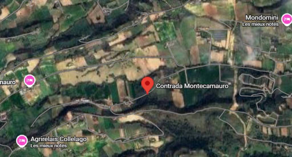 immagine annuncio 6 di 12