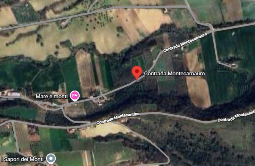 immagine annuncio 7 di 12