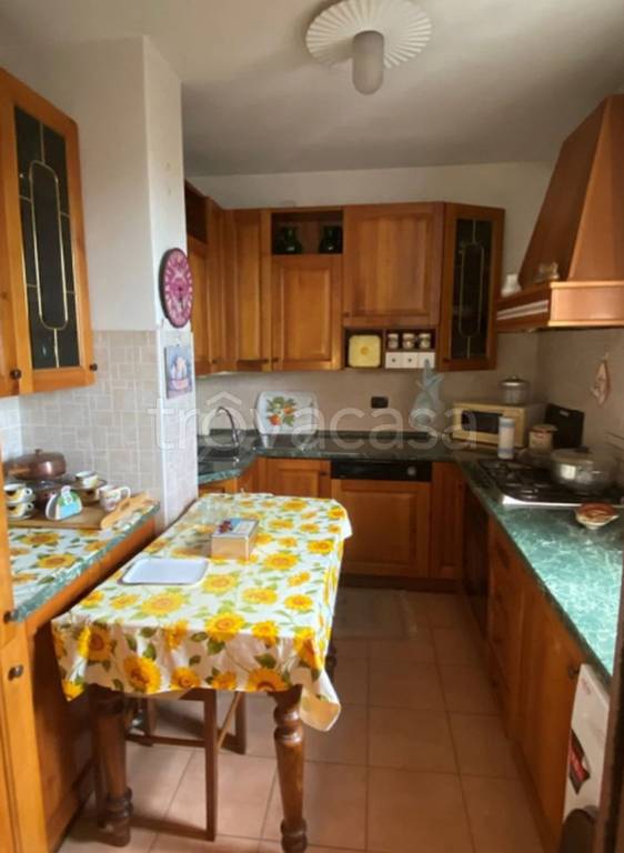 immagine annuncio 2 di 13