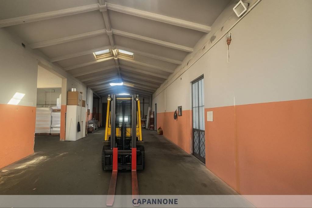 immagine annuncio 10 di 15