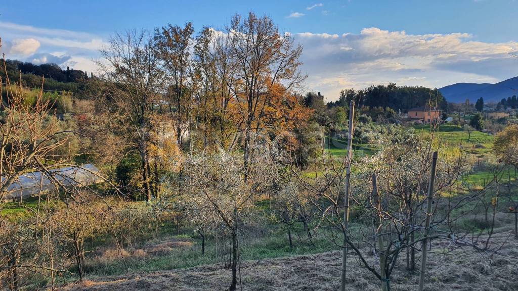 immagine annuncio 1 di 3