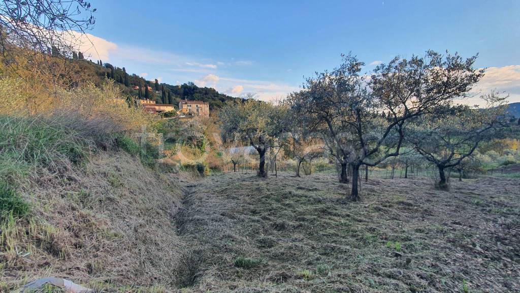 immagine annuncio 2 di 3