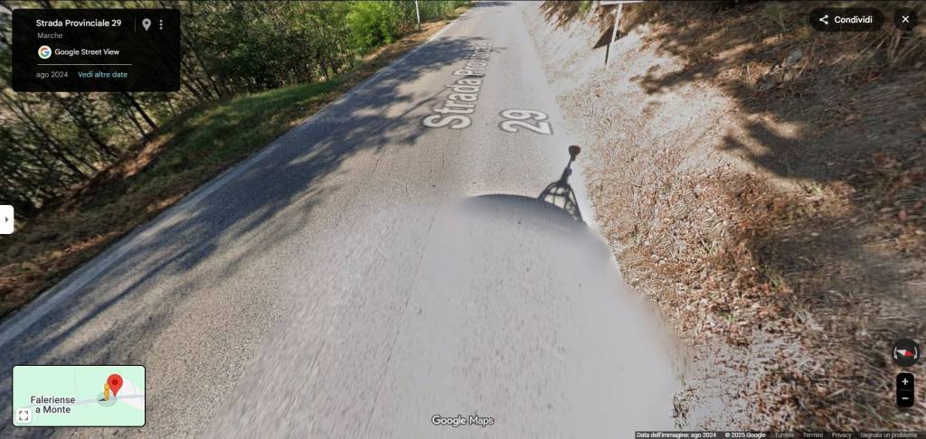 immagine annuncio 7 di 13