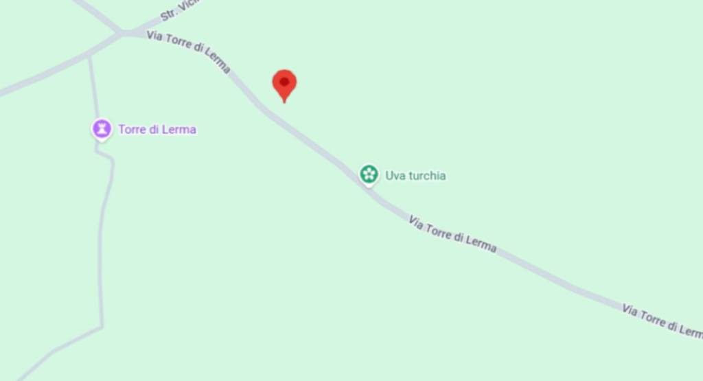 immagine annuncio 5 di 11