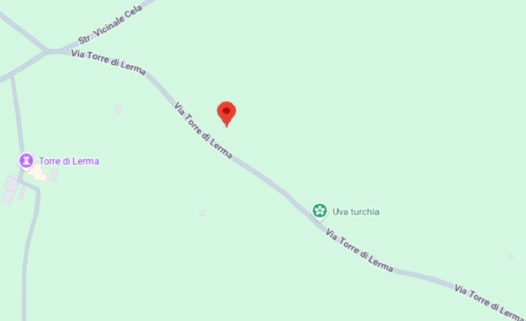 immagine annuncio 7 di 11