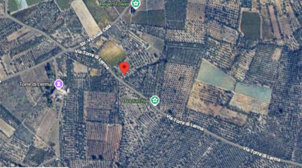 immagine annuncio 10 di 11