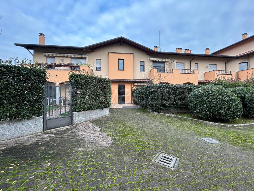 immagine annuncio 9 di 15